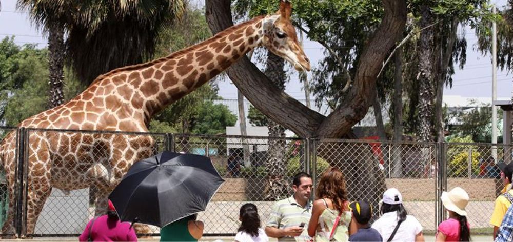 relajate parque leyendas san miguel dkasa